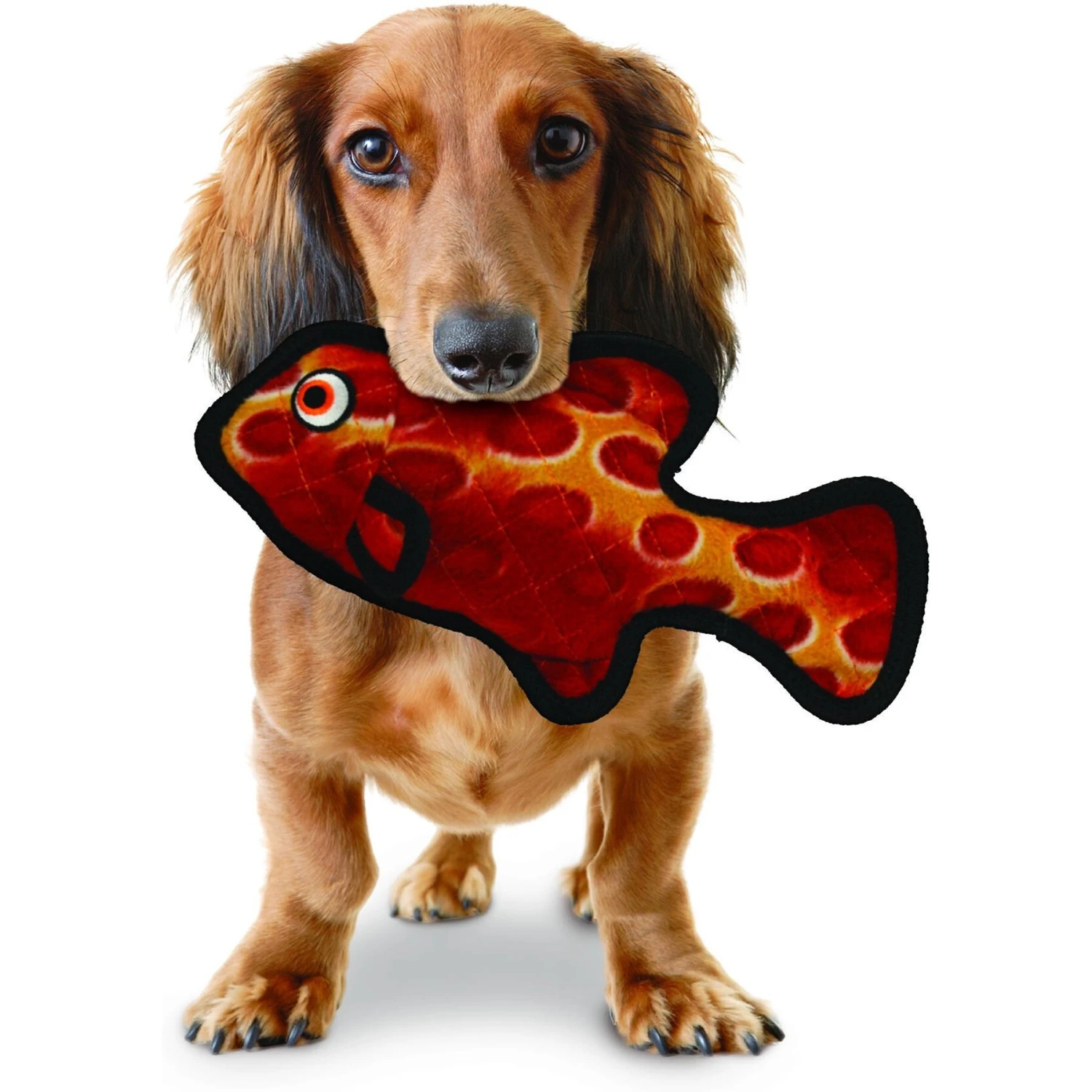 Tuffy's Ocean Creature Fish Squeaky Plush Dog Toy 3 Tuffy's Ocean Creature Fish Squeaky Plush Dog Toy - Image 3