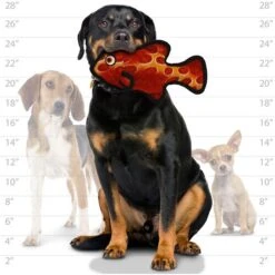 Tuffy's Ocean Creature Fish Squeaky Plush Dog Toy 9 Tuffy's Ocean Creature Fish Squeaky Plush Dog Toy -Dog Supply Store 184093 PT3. AC SS1800 V1564002733