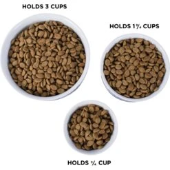 Bone Dry Paw Lattice Print Non-Skid Ceramic Dog & Cat Bowl Set 11 Bone Dry Paw Lattice Print Non-Skid Ceramic Dog & Cat Bowl Set -Dog Supply Store 185453 PT4. AC SS1800 V1599188465