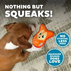 Outward Hound Invincibles Squeaky Stuffing-Free Plush Dog Toy -Dog Supply Store 190586 PT3. AC SS1800 V1631680378