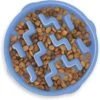 Outward Hound Fun Feeder Slow Feeder Dog Bowl