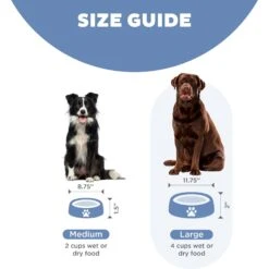 Outward Hound Fun Feeder Slow Feeder Dog Bowl -Dog Supply Store 190604 PT4. AC SS1800 V1694286159