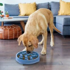Outward Hound Fun Feeder Slow Feeder Dog Bowl -Dog Supply Store 190604 PT5. AC SS1800 V1694285578
