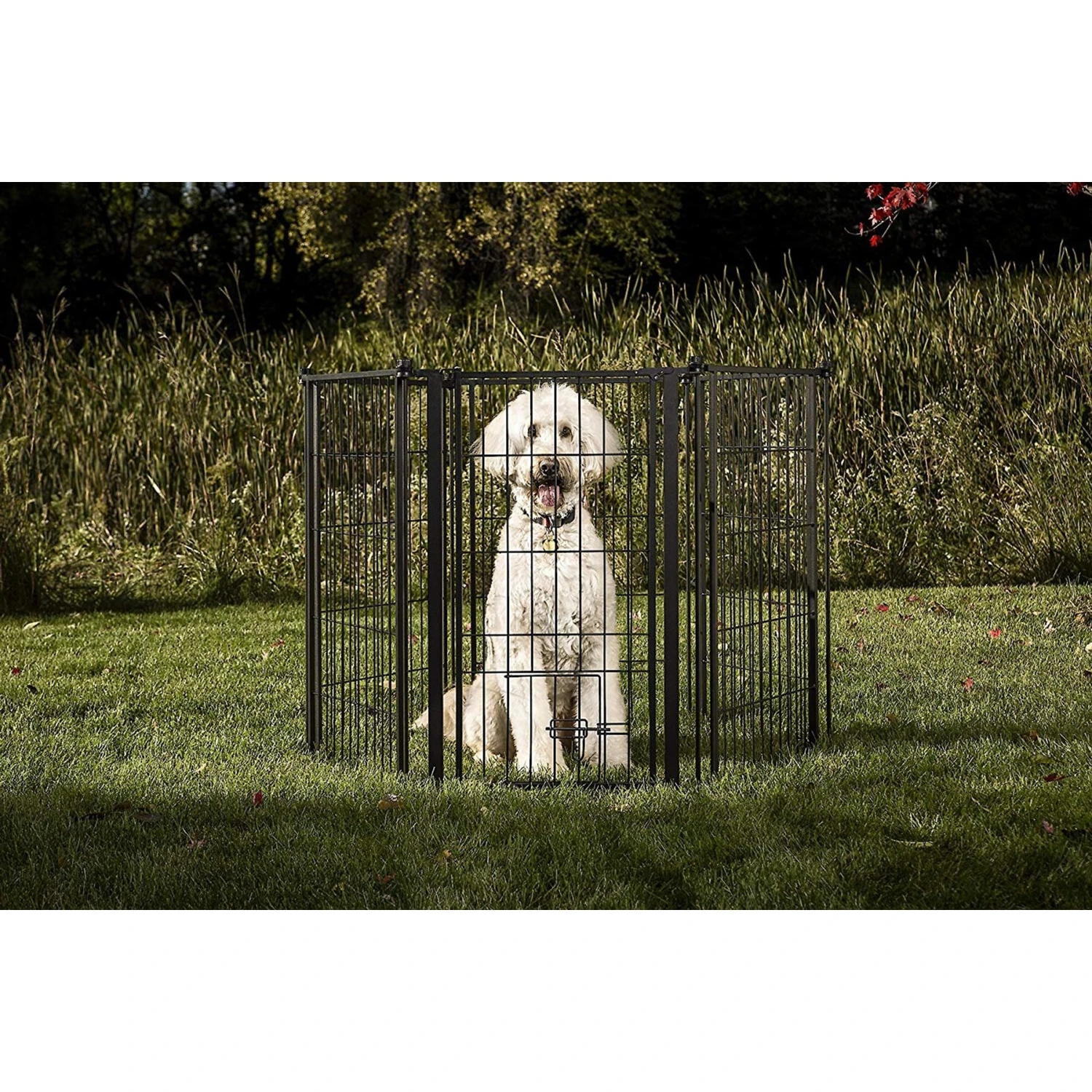 Carlson Pet Products Outdoor Extra Tall Super Wide Dog Gate 1 Carlson Pet Products Outdoor Extra Tall Super Wide Dog Gate