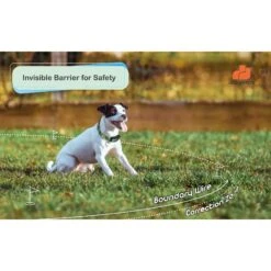 GROOVYPETS Fence & Remote Dog Trainer System, 2 Collars -Dog Supply Store 192129 PT3. AC SS1800 V1626282377