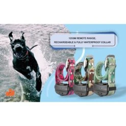 GROOVYPETS Fence & Remote Dog Trainer System, 2 Collars -Dog Supply Store 192129 PT4. AC SS1800 V1626282079