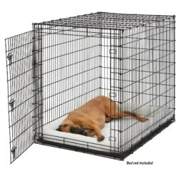 MidWest Solution Series XX-Large Heavy Duty Single Door Dog Crate, 54 Inch -Dog Supply Store 192364 PT3. AC SS1800 V1570569373