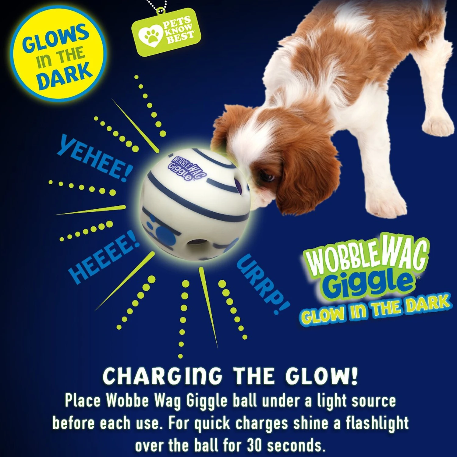 Wobble Wag Giggle Ball Glow In The Dark Squeaky Dog Toy 4 Wobble Wag Giggle Ball Glow In The Dark Squeaky Dog Toy - Image 4
