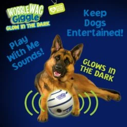 Wobble Wag Giggle Ball Glow In The Dark Squeaky Dog Toy 11 Wobble Wag Giggle Ball Glow In The Dark Squeaky Dog Toy -Dog Supply Store 205654 PT4. AC SS1800 V1572363180