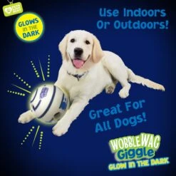Wobble Wag Giggle Ball Glow In The Dark Squeaky Dog Toy 12 Wobble Wag Giggle Ball Glow In The Dark Squeaky Dog Toy -Dog Supply Store 205654 PT5. AC SS1800 V1572363183