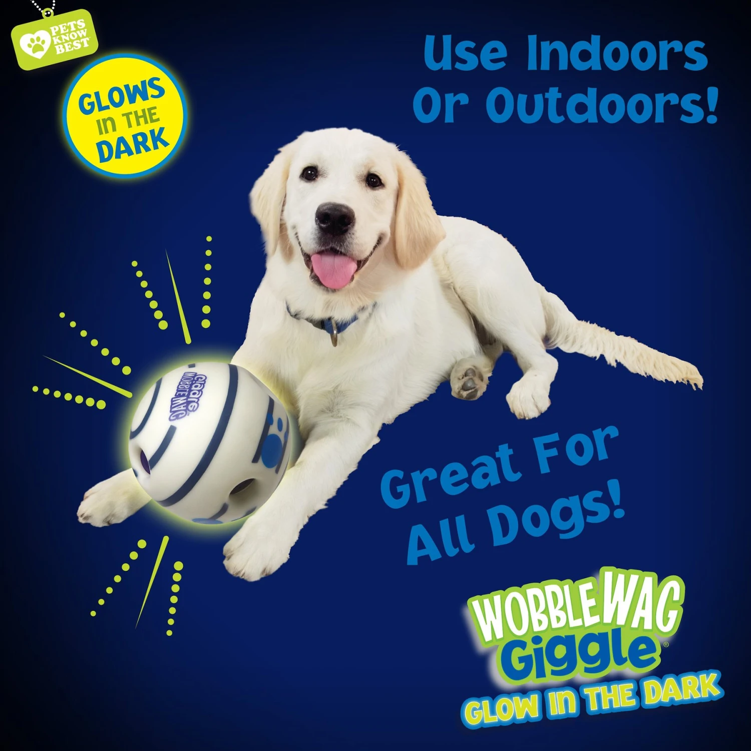 Wobble Wag Giggle Ball Glow In The Dark Squeaky Dog Toy 6 Wobble Wag Giggle Ball Glow In The Dark Squeaky Dog Toy - Image 6