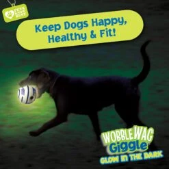Wobble Wag Giggle Ball Glow In The Dark Squeaky Dog Toy 13 Wobble Wag Giggle Ball Glow In The Dark Squeaky Dog Toy -Dog Supply Store 205654 PT6. AC SS1800 V1572363199