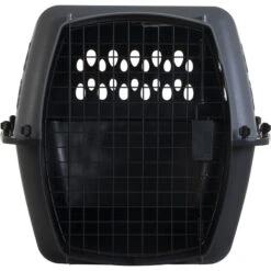 Aspen Pet Dog & Cat Kennel, Gray/Black -Dog Supply Store 212668 PT2. AC SS1800 V1702329383