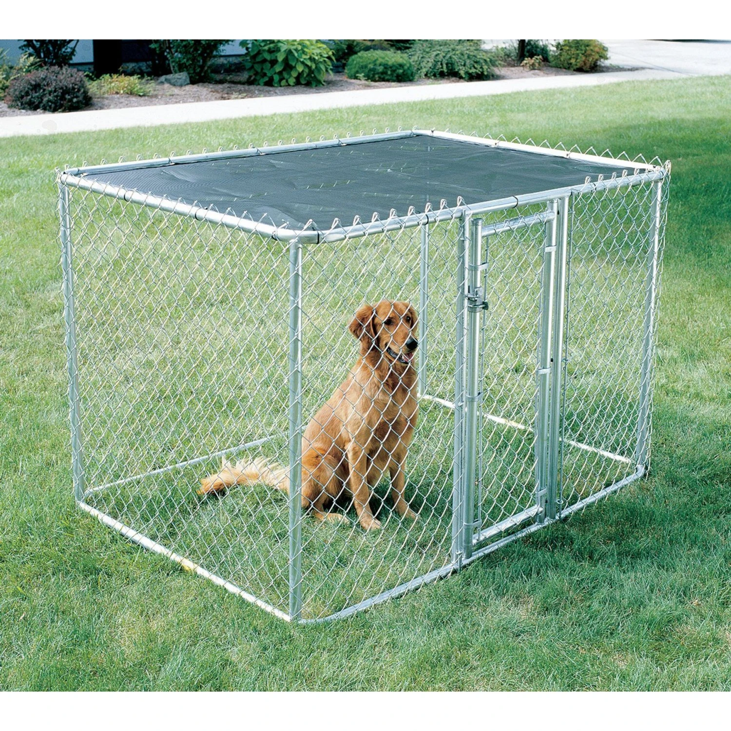 MidWest K9 Steel Chain Link Portable Outdoor Dog Kennel 3 MidWest K9 Steel Chain Link Portable Outdoor Dog Kennel - Image 3