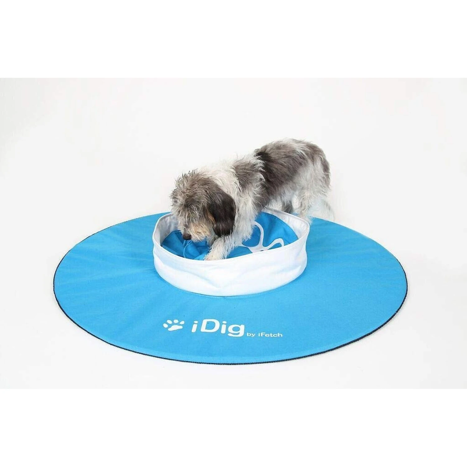 IFetch IDig Go Dog Toy, Blue 2 IFetch IDig Go Dog Toy, Blue - Image 2