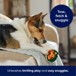 Frisco Burrito Plush Squeaky Dog Toy -Dog Supply Store 213834 PT4. AC SS1800 V1695919984