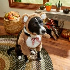 Frisco Front Walking Teddy Bear Dog & Cat Costume -Dog Supply Store 215507 PT8. AC SS1800 V1689628224