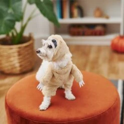 Frisco Front Walking Sloth Dog & Cat Costume 11 Frisco Front Walking Sloth Dog & Cat Costume -Dog Supply Store 215539 PT8. AC SS1800 V1599141353