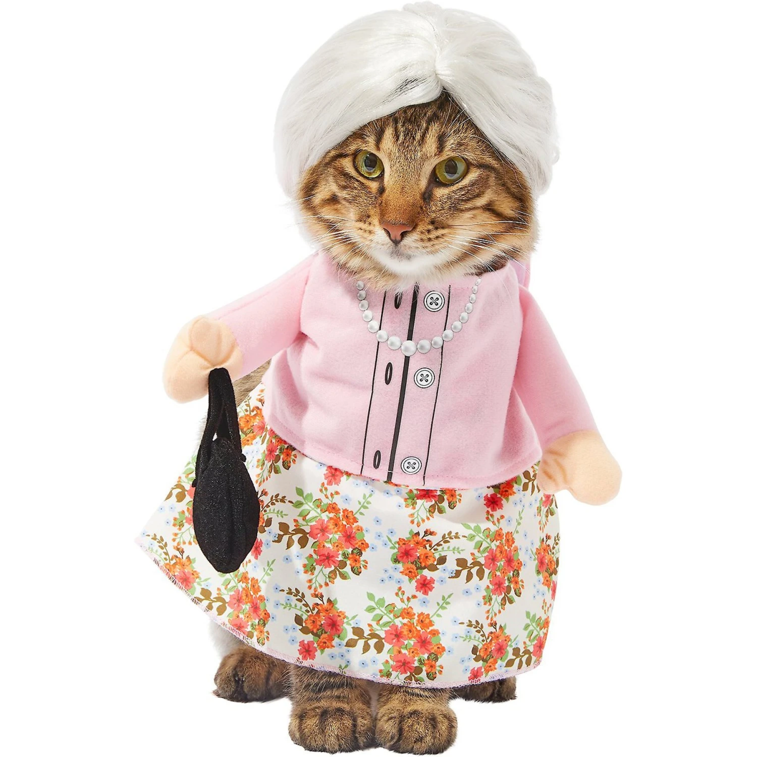 Frisco Front Walking Granny Dog & Cat Costume 1 Frisco Front Walking Granny Dog & Cat Costume