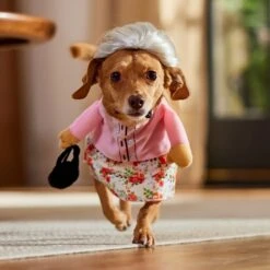 Frisco Front Walking Granny Dog & Cat Costume 17 Frisco Front Walking Granny Dog & Cat Costume -Dog Supply Store 215577 PT8. AC SS1800 V1689621333