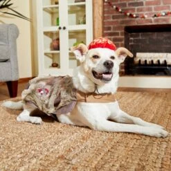 Frisco Zombie Dog & Cat Costume 11 Frisco Zombie Dog & Cat Costume -Dog Supply Store 215624 PT8. AC SS1800 V1599226580