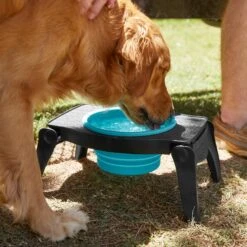 Frisco Elevated Collapsible Travel Bowl 9 Frisco Elevated Collapsible Travel Bowl -Dog Supply Store 216013 PT7. AC SS1800 V1605653830