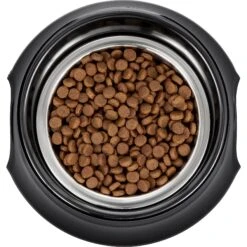 Frisco Stainless Steel Bowl With Elevated Stand 11 Frisco Stainless Steel Bowl With Elevated Stand -Dog Supply Store 216020 PT4. AC SS1800 V1591020427