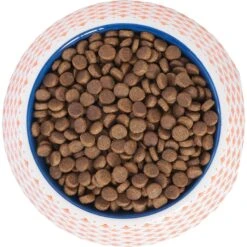 Frisco Southwest Melamine Bowl 11 Frisco Southwest Melamine Bowl -Dog Supply Store 216064 PT4. AC SS1800 V1591021009