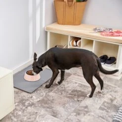 Frisco Southwest Melamine Bowl 13 Frisco Southwest Melamine Bowl -Dog Supply Store 216064 PT7. AC SS1800 V1605653262