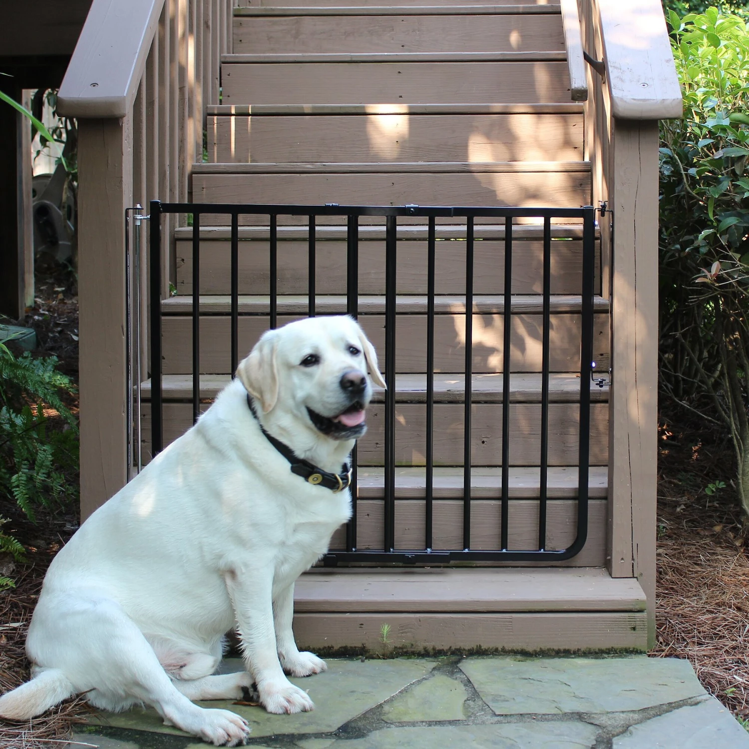 Cardinal Gates Outdoor Dog Gate 1 Cardinal Gates Outdoor Dog Gate