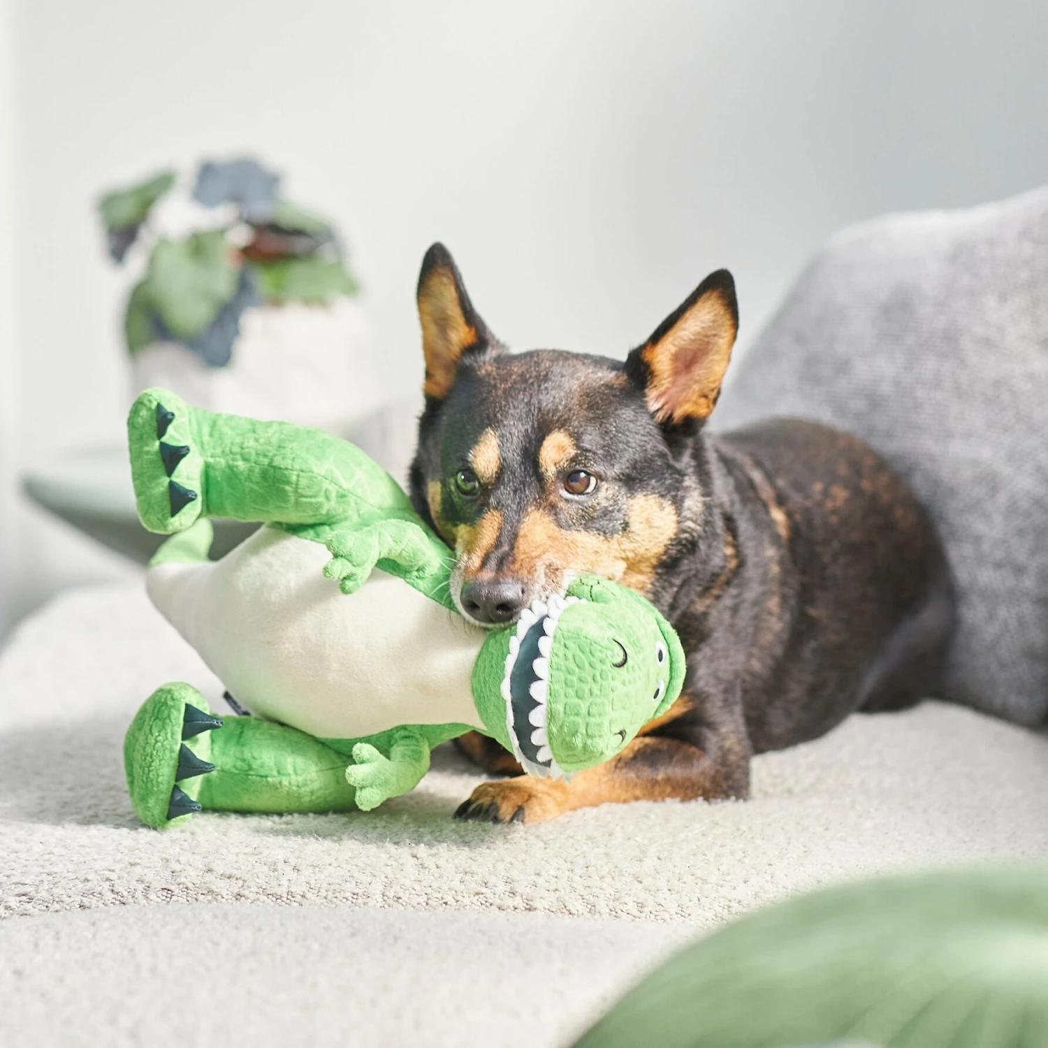 Pixar Rex Plush Squeaky Dog Toy 3 Pixar Rex Plush Squeaky Dog Toy - Image 3