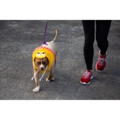 Pet Krewe Big Bird Dog & Cat Costume -Dog Supply Store 223177 PT2. AC SS1800 V1599265595