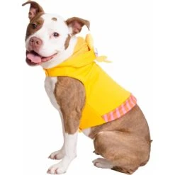 Pet Krewe Big Bird Dog & Cat Costume -Dog Supply Store 223177 PT6. AC SS1800 V1599263770