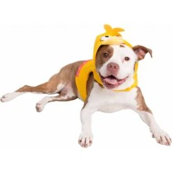 Pet Krewe Big Bird Dog & Cat Costume -Dog Supply Store 223177 PT8. AC SS1800 V1599267996
