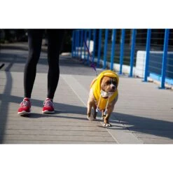 Pet Krewe Big Bird Dog & Cat Costume -Dog Supply Store 223177 pt3. AC SS1800 V1583163476