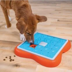 Nina Ottosson By Outward Hound Challenge Slider Dog Toy 12 Nina Ottosson By Outward Hound Challenge Slider Dog Toy -Dog Supply Store 226716 PT4. AC SS1800 V1694286042