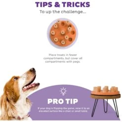 Nina Ottosson By Outward Hound Dog Smart Composite Dog Toy 11 Nina Ottosson By Outward Hound Dog Smart Composite Dog Toy -Dog Supply Store 226720 PT3. AC SS1800 V1694439632