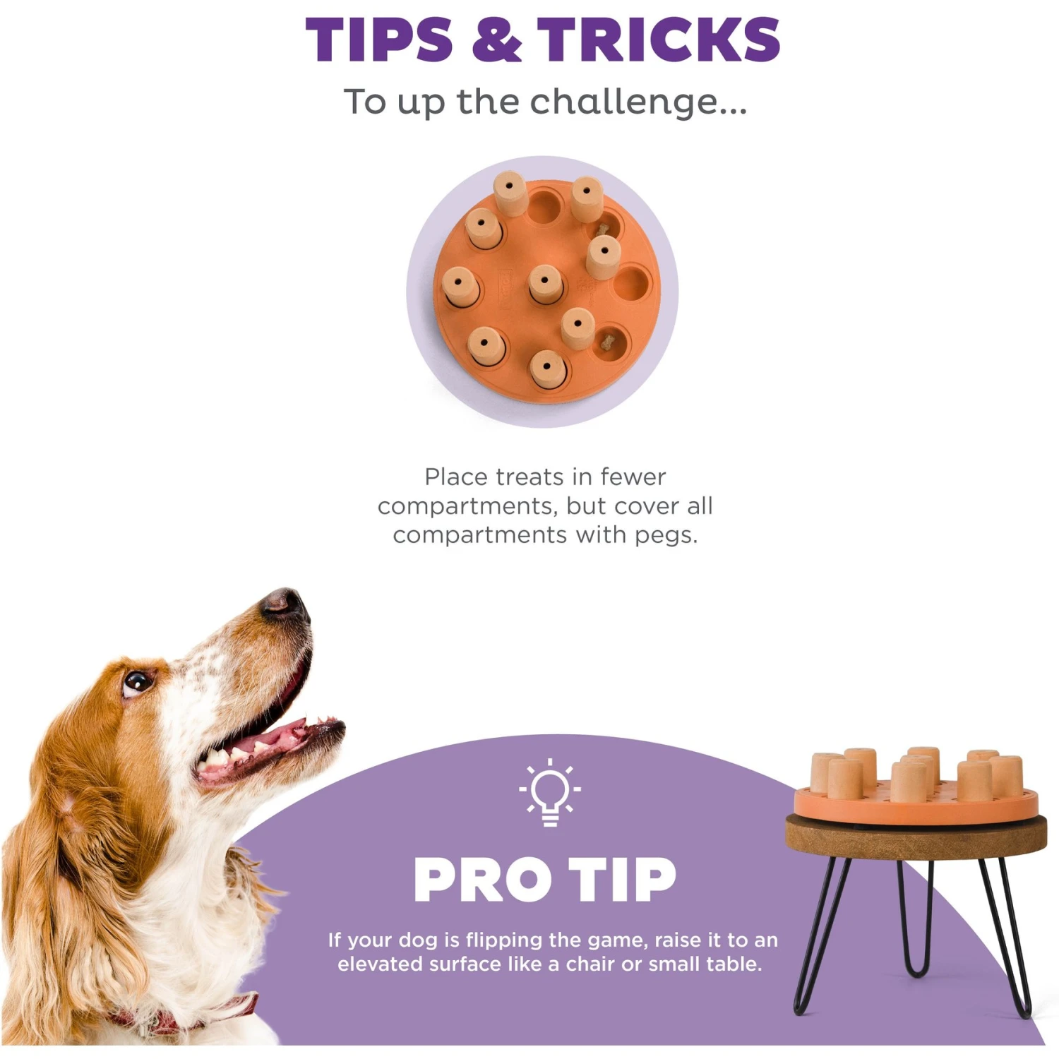 Nina Ottosson By Outward Hound Dog Smart Composite Dog Toy 4 Nina Ottosson By Outward Hound Dog Smart Composite Dog Toy - Image 4