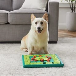 Nina Ottosson By Outward Hound Multipuzzle Dog Toy -Dog Supply Store 226724 PT4. AC SS1800 V1694439694