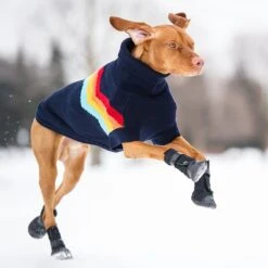 GF Pet Elastofit Dog Boots -Dog Supply Store 227696 PT3. AC SS1800 V1585243585