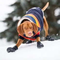 GF Pet Elastofit Dog Boots -Dog Supply Store 227696 PT5. AC SS1800 V1585243588