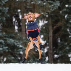 GF Pet Elastofit Dog Boots -Dog Supply Store 227696 PT6. AC SS1800 V1585243593