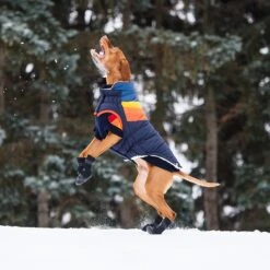 GF Pet Elastofit Dog Boots -Dog Supply Store 227696 PT7. AC SS1800 V1585243594