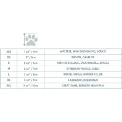 GF Pet Elastofit Dog Boots -Dog Supply Store 227696 PT8. AC SS1800 V1585244170