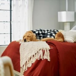 Wagatude Black Buffalo Plaid Dog Pajama -Dog Supply Store 228071 PT4. AC SS1800 V1637645494