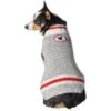 Chilly Dog Squirrel Patrol Wool Dog Sweater