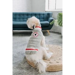 Chilly Dog Squirrel Patrol Wool Dog Sweater -Dog Supply Store 228340 PT3. AC SS1800 V1595887896