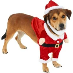 Frisco Front Walking Santa Dog & Cat Costume, 1 Count 9 Frisco Front Walking Santa Dog & Cat Costume, 1 Count -Dog Supply Store 228785 PT3. AC SS1800 V1631300866