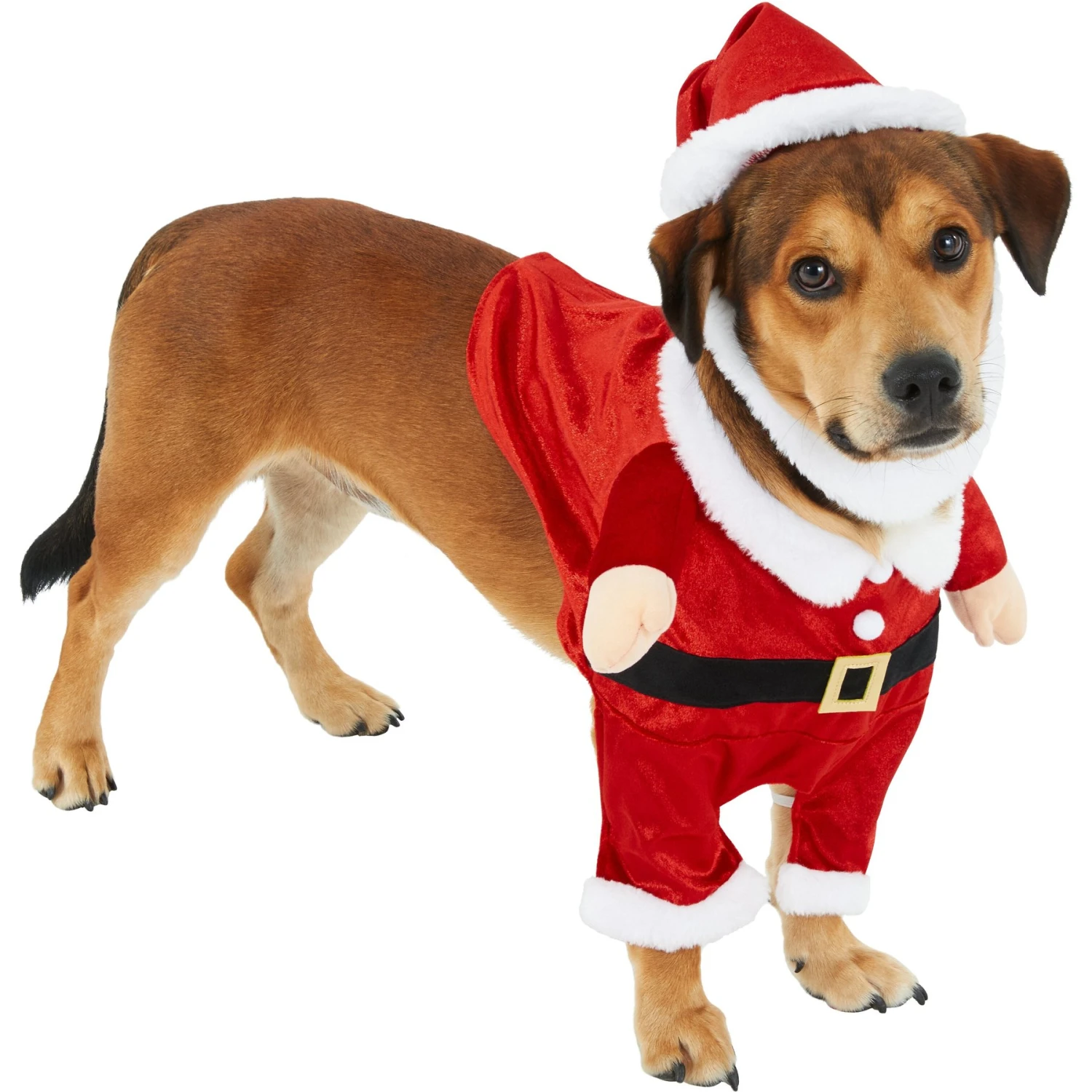 Frisco Front Walking Santa Dog & Cat Costume, 1 Count 3 Frisco Front Walking Santa Dog & Cat Costume, 1 Count - Image 3