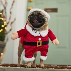 Frisco Front Walking Santa Dog & Cat Costume, 1 Count 12 Frisco Front Walking Santa Dog & Cat Costume, 1 Count -Dog Supply Store 228785 PT7. AC SS1800 V1601560869